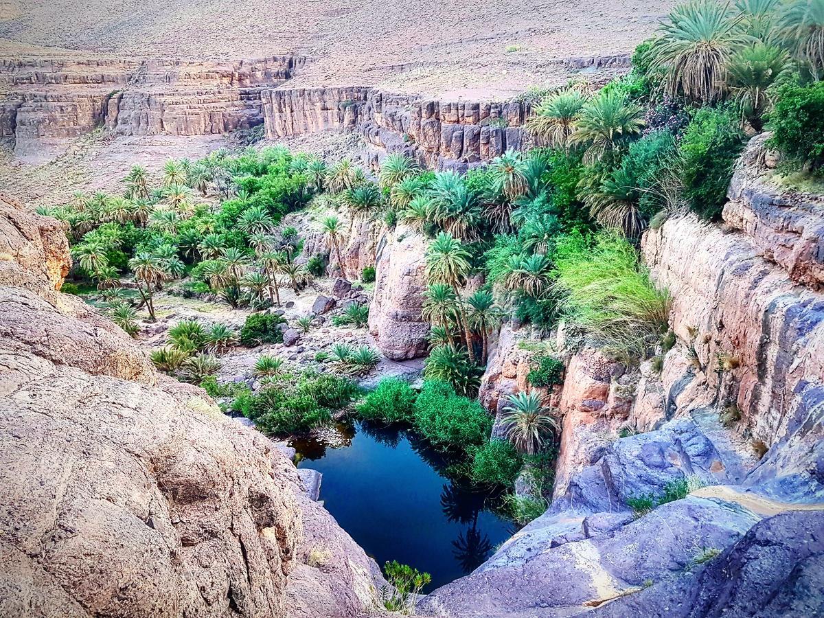 Ouednoujoum Ecolodge & Spa Varzazat Dış mekan fotoğraf